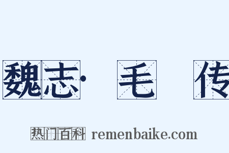 魏志·毛传是什么意思的图片